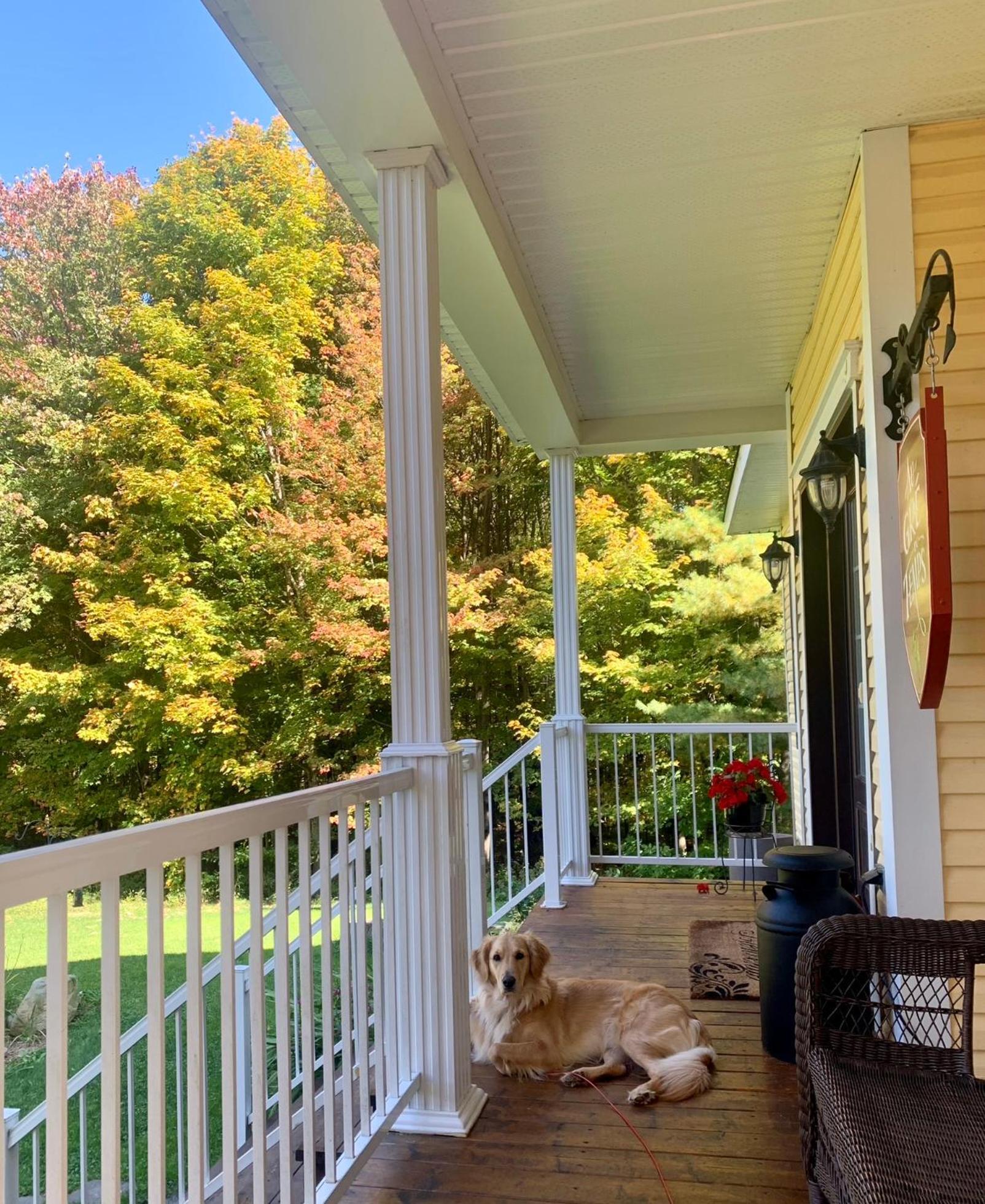 Au Gre Du Temps - Gite B&B Shefford Bagian luar foto